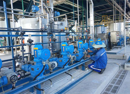 計(jì)量泵設(shè)備(文萊)